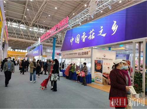 全球香菇薈江城 武漢國際香菇產業博覽會引領行業新浪潮