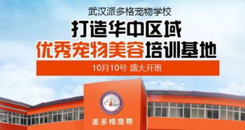 武漢指尖優品與派多格寵物技術專修學校 攜手打造寵物行業品質教育新標桿