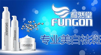 桐然堂 以自然之美點亮現代店鋪裝修靈感