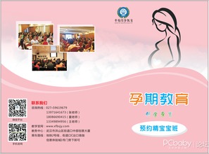 優生優育 武漢孕產期培訓，給寶寶最好的選擇——武漢指尖優品